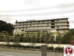 IMG_0732 (Copy)