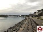 IMG_0731 (Copy)