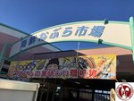 IMG_1125 (Copy)