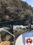 IMG_1559 (Copy)