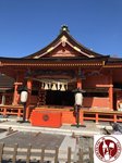 IMG_1541 (Copy)