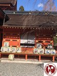 IMG_1542 (Copy)