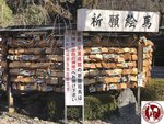 IMG_1543 (Copy)