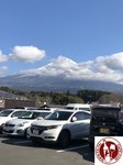 IMG_1544 (Copy)