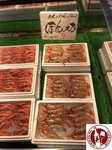 IMG_1294 (Copy)
