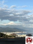 IMG_1345 (Copy)