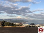 IMG_1350 (Copy)