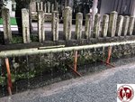 IMG_4175 (Copy)