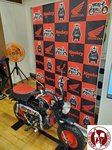 JMUG4494 (Copy)
