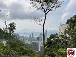 IMG_4225 (Copy)