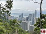 IMG_4226 (Copy)