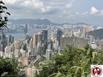 IMG_4229 (Copy)