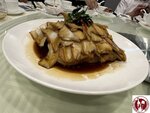 IMG_2249 (Copy)