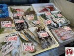 IMG_6208 (Copy)