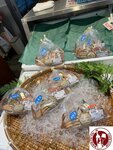 IMG_9126 (Copy)