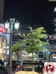 IMG_6078 (Copy)