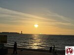 IMG_8592 (Copy)