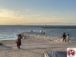 IMG_8593 (Copy)