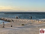 IMG_8597 (Copy)