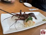 IMG_0647 (Copy)