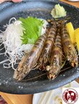 IMG_0663 (Copy)