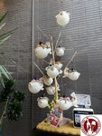 IMG_0632 (Copy)