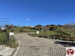 IMG_0023 (Copy)