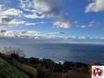 IMG_0034 (Copy)