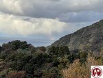 IMG_0037 (Copy)