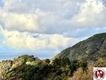 IMG_E0039 (Copy)