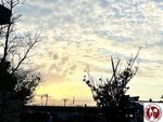 IMG_E8114 (Copy)