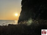 IMG_8798 (Copy)