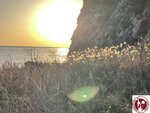 IMG_8800 (Copy)