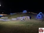 IMG_8875 (Copy)