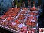 IMG_0283 (Copy)