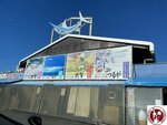 IMG_0306 (Copy)