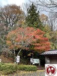 IMG_9940 (Copy)