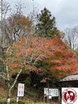 IMG_9943 (Copy)