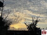 IMG_8114 (Copy)