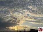 IMG_8115 (Copy)