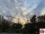 IMG_8135 (Copy)