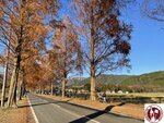 IMG_0327 (Copy)