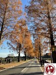 IMG_0328 (Copy)