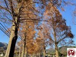 IMG_0330 (Copy)