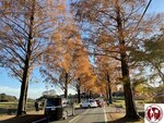 IMG_0331 (Copy)