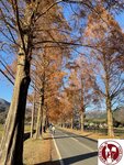 IMG_0332 (Copy)