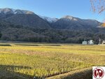 IMG_0334 (Copy)