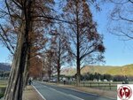 IMG_0336 (Copy)
