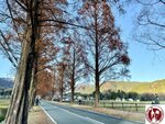 IMG_E0336 (Copy)