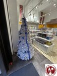 IMG_8662 (Copy)